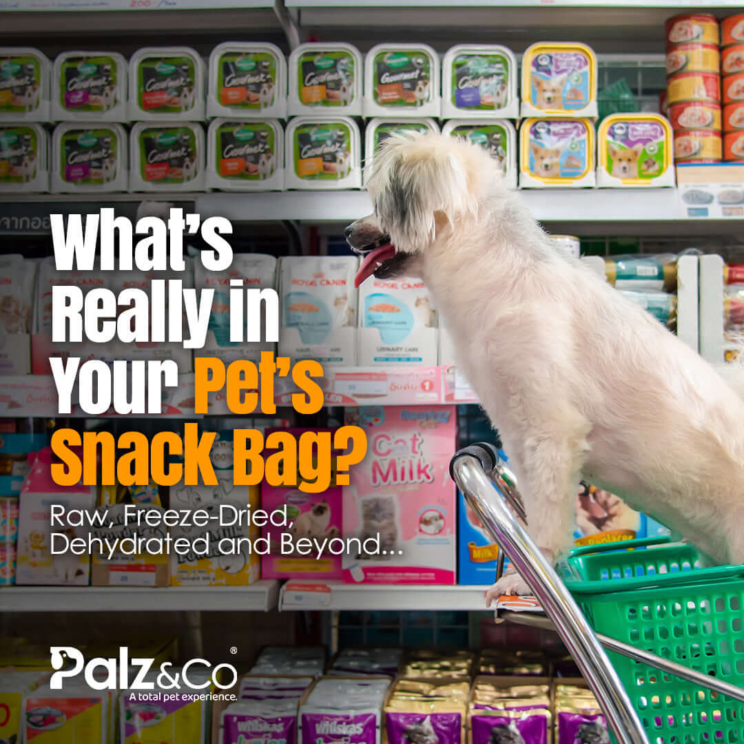 "What’s Really in Your Pet’s Snack Bag? Raw, Freeze-Dried, Dehydrated and Beyond..."
