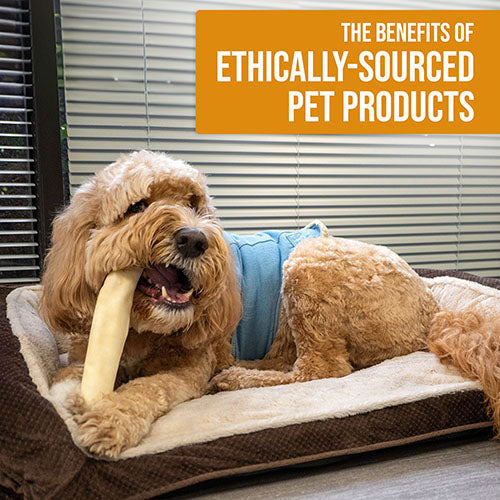 The Benefits of Ethically-Sourced Pet Products