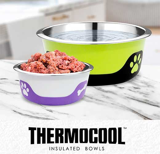 Top 10 Reasons Thermocool Insulated Bowls Are Must Have for Pet Owners