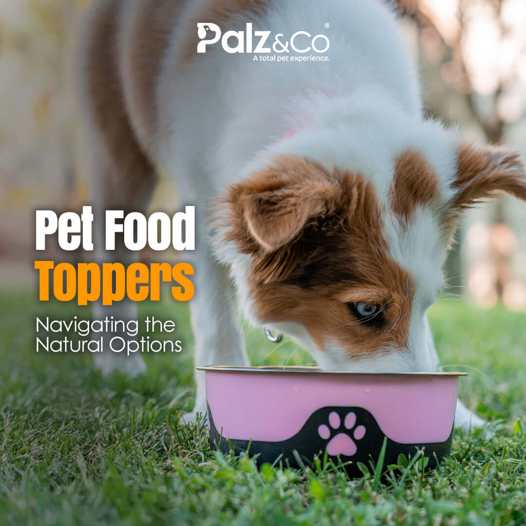 Pet Food Toppers: Navigating the Natural Options