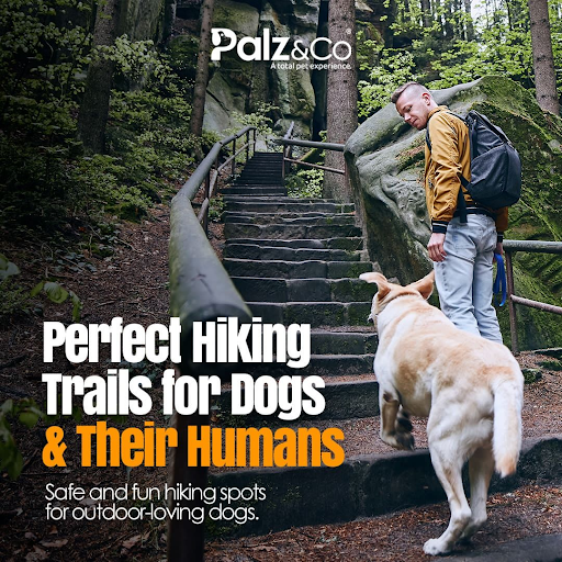 𝗛𝗶𝗸𝗶𝗻𝗴 𝗧𝗿𝗮𝗶𝗹𝘀 𝗣𝗲𝗿𝗳𝗲𝗰𝘁 𝗳𝗼𝗿 𝗗𝗼𝗴𝘀 & 𝗧𝗵𝗲𝗶𝗿 𝗛𝘂𝗺𝗮𝗻𝘀 🐾