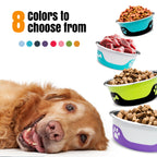 Thermocool Insulated Pet Bowls, No-Skid Base (Black)