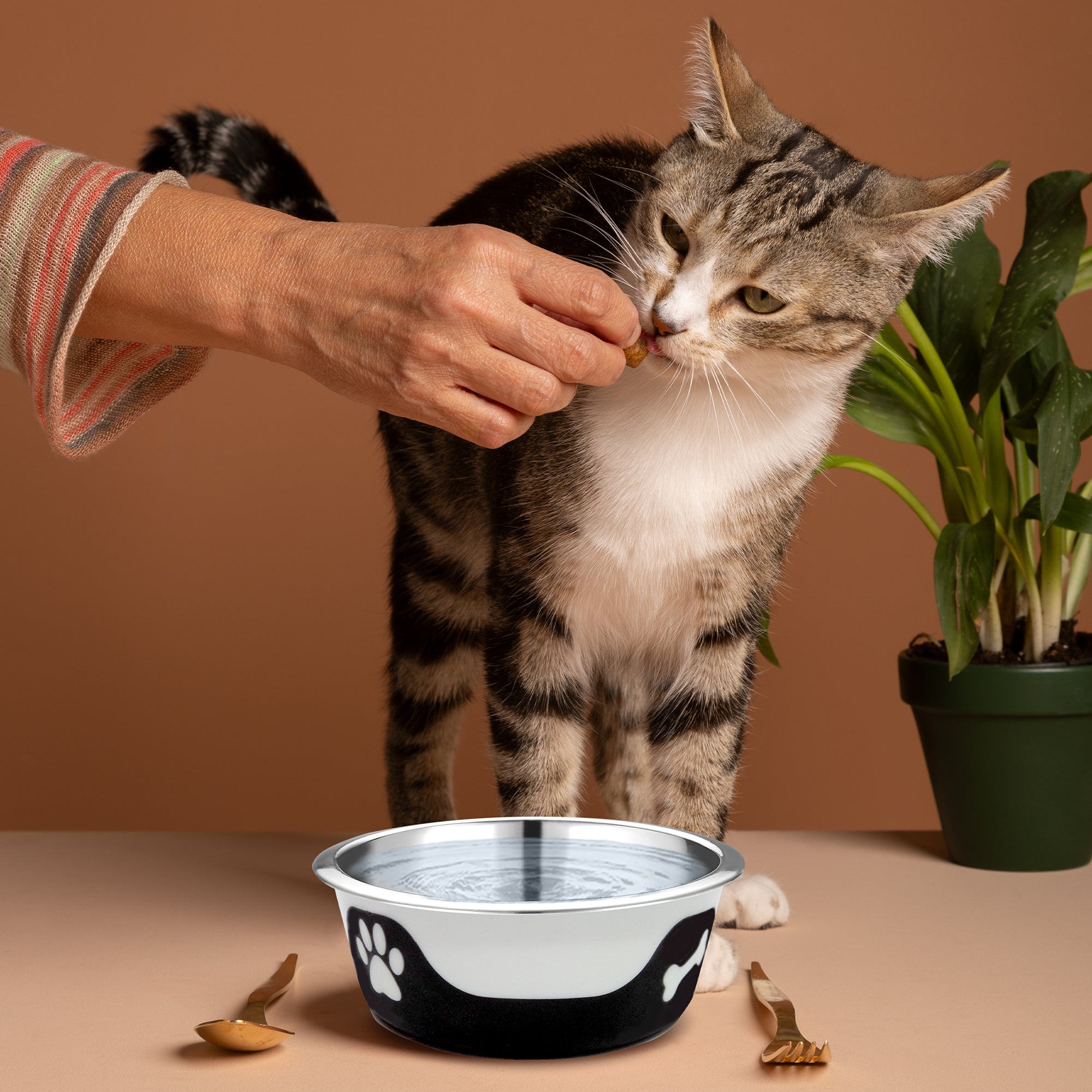 Thermocool Insulated Pet Bowls, No-Skid Base (Black)