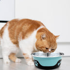 Thermocool Insulated Pet Bowls, No-Skid Base (Blue)