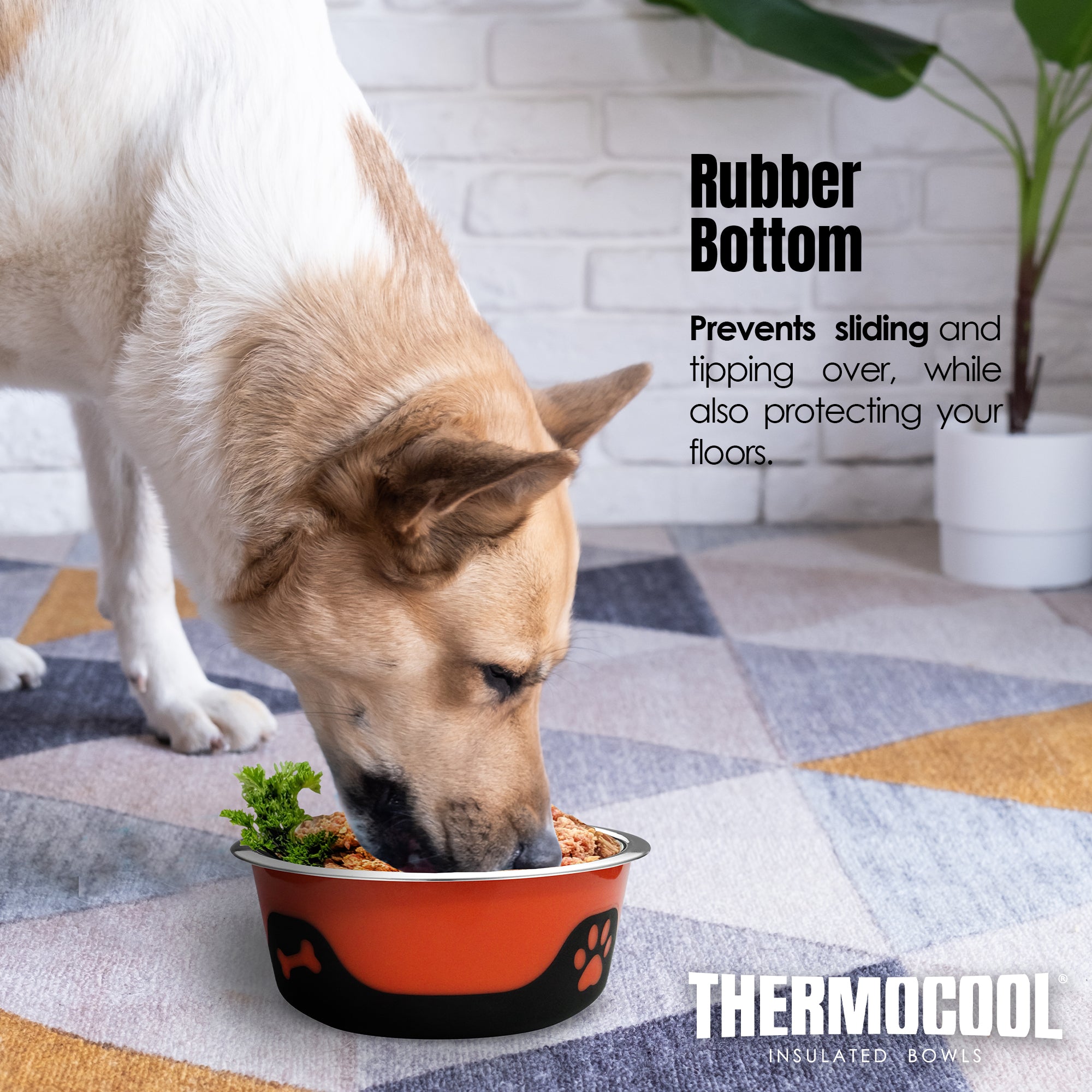 Thermocool Insulated Pet Bowls, No-Skid Base (Orange)