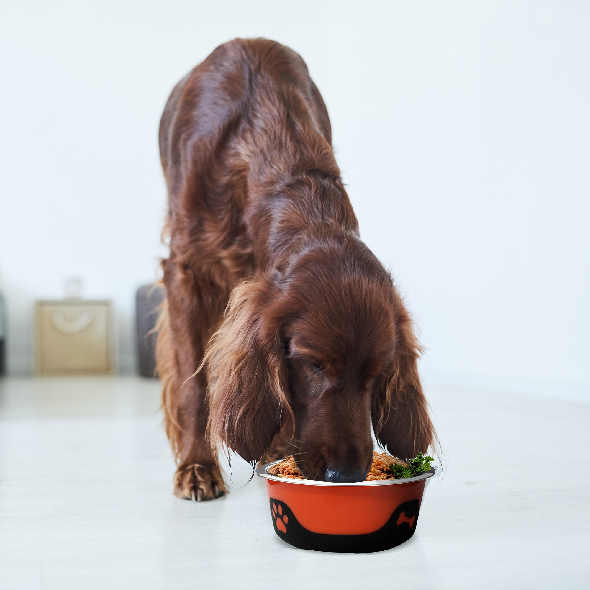 Thermocool Insulated Pet Bowls, No-Skid Base (Orange)