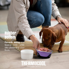 Thermocool Insulated Pet Bowls, No-Skid Base (Purple)