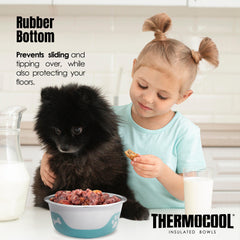 Thermocool Insulated Pet Bowls, No-Skid Base (Light Blue)