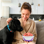 Thermocool Insulated Pet Bowls, No-Skid Base (Light Purple)