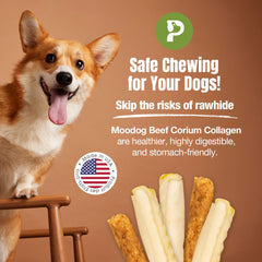 Moodog Collagen Roll (pumpkin and oatmeal)