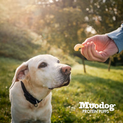 Moodog Protein Puffs (Bacon)