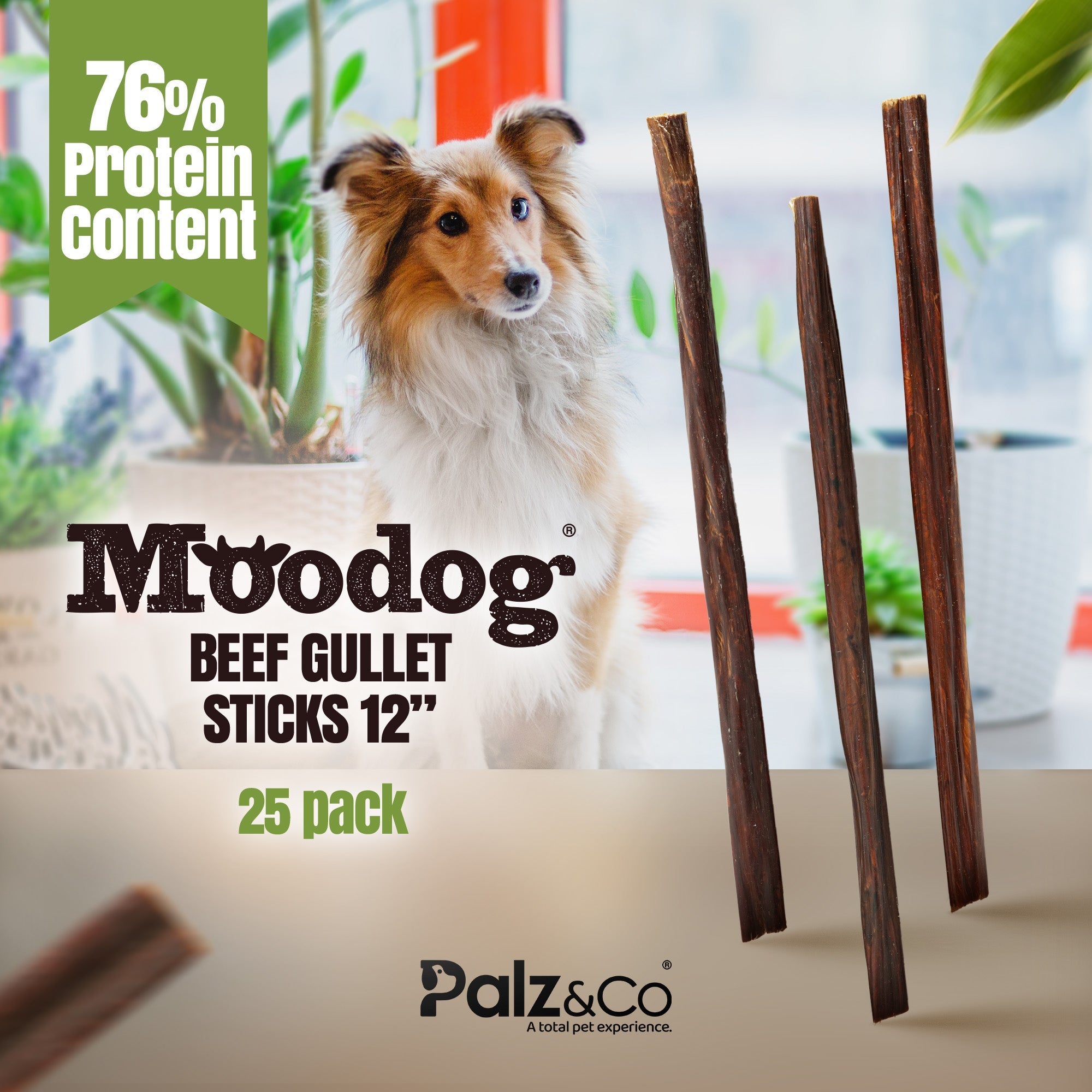 Moodog Beef Gullet Sticks 6-12" - Pack of 25