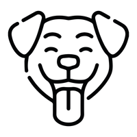 Chewing Promotes Stress Release