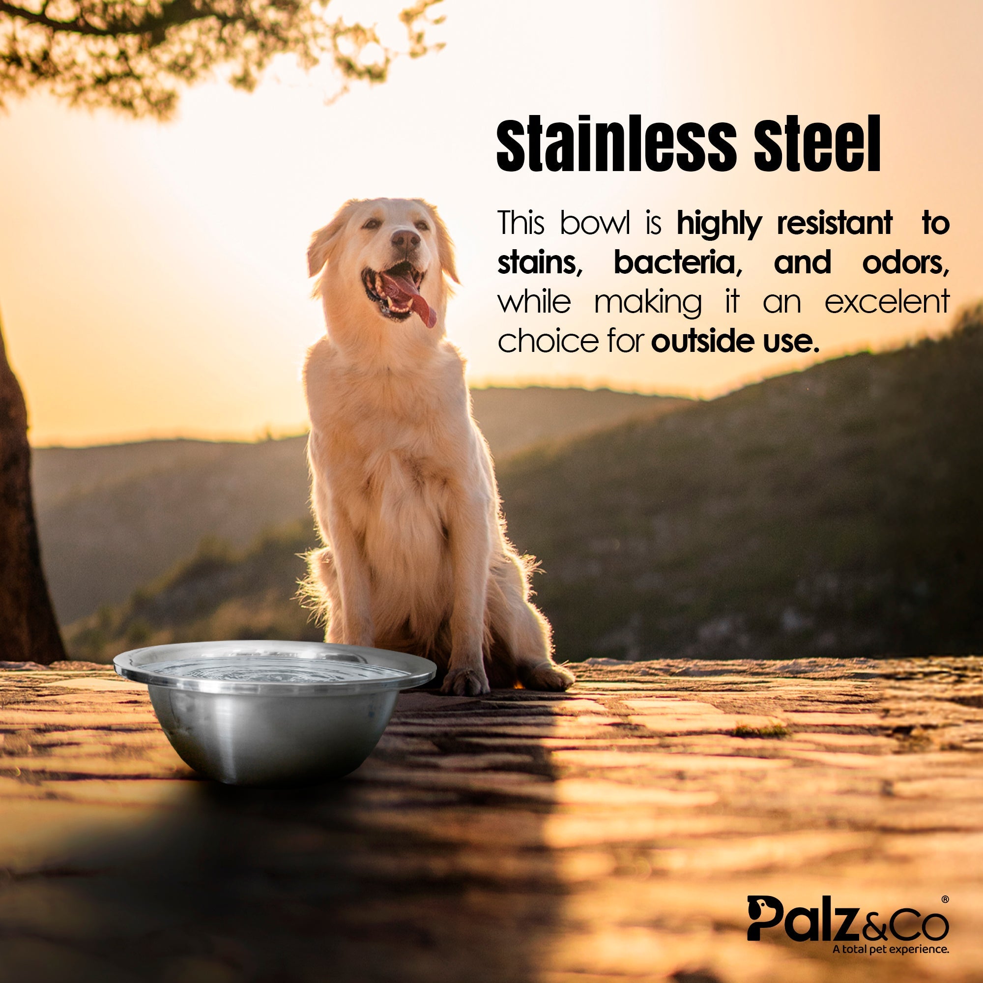 Stainless Steel Pet Bowl Giant - 384oz. (12QT)