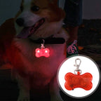 Flashing Pet Safety Light for Dog Collars, Leashes, Night Walking Accessory