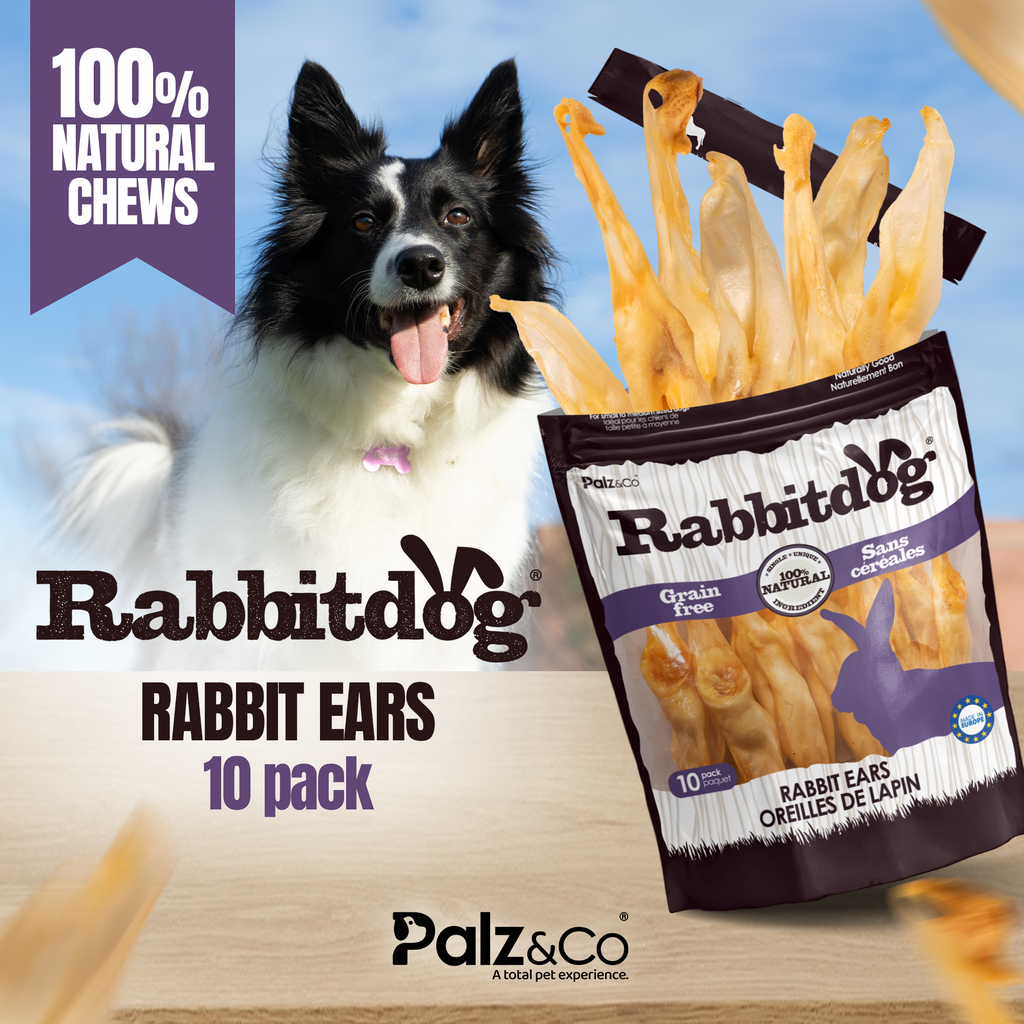 Rabbitdog Rabbit Ears - Without Fur