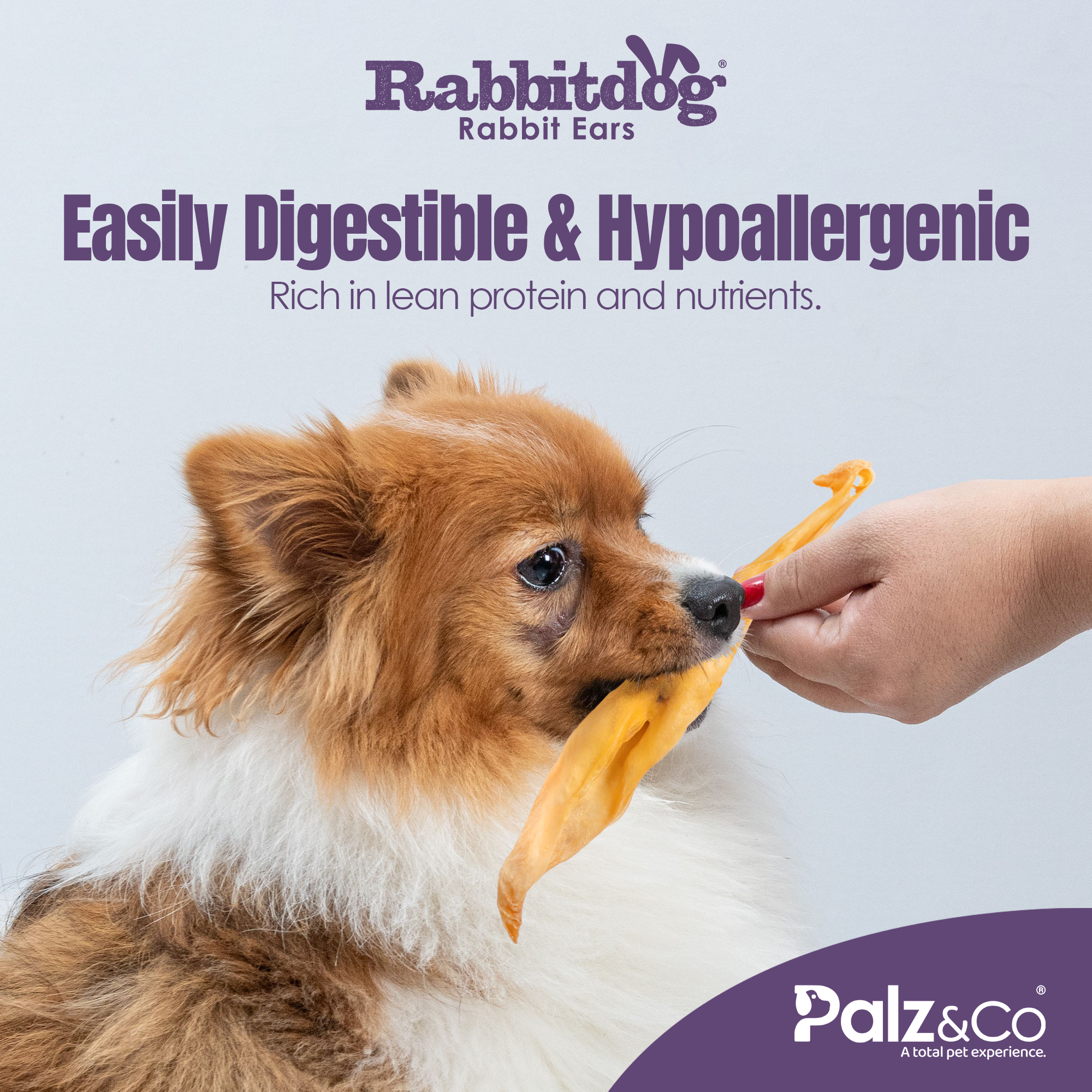 Rabbitdog Rabbit Ears - Without Fur