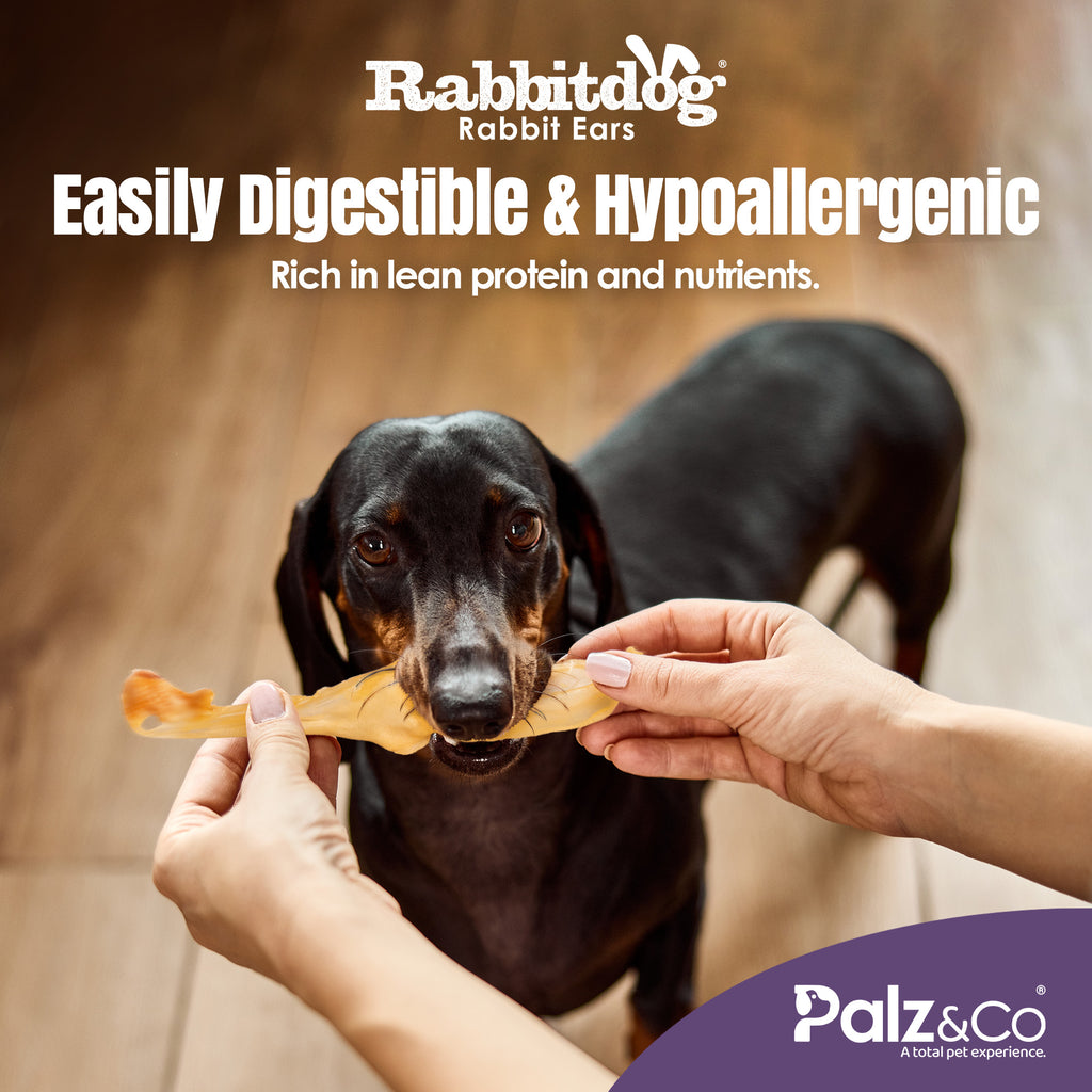 Rabbitdog Rabbit Ears - 2.2 lbs (1kg)