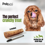 Moodog Beef Trachea Tubes - Pack of 2