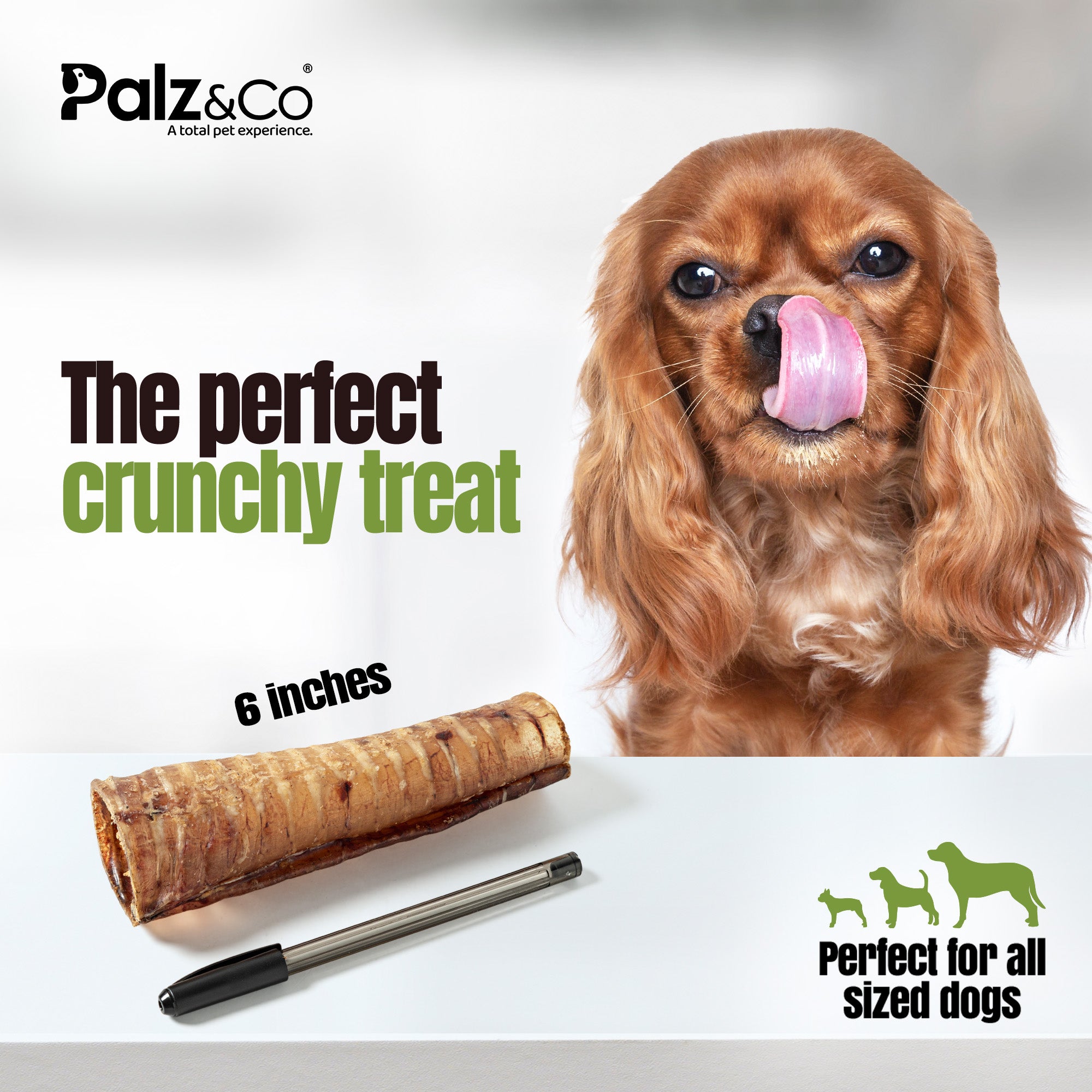 Moodog Beef Trachea Tubes - Pack of 2