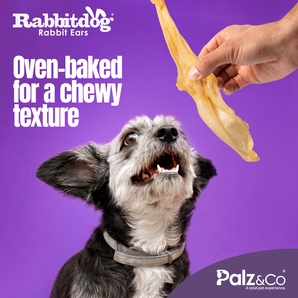 Rabbitdog Rabbit Ears - Without Fur