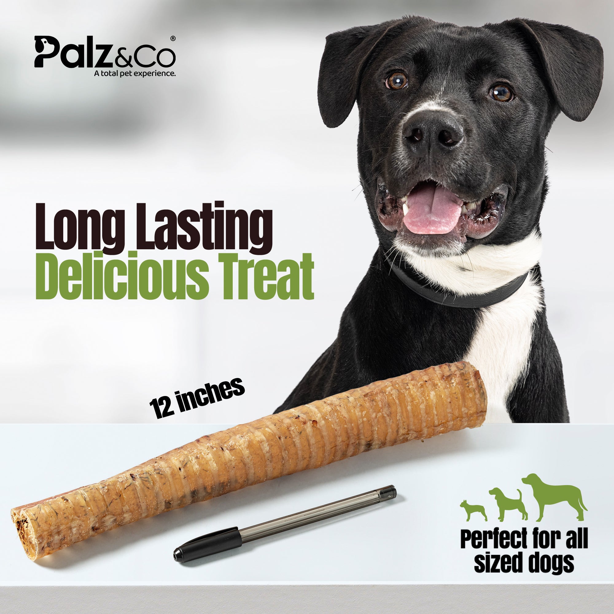 Moodog Beef Trachea Tubes - Pack of 2