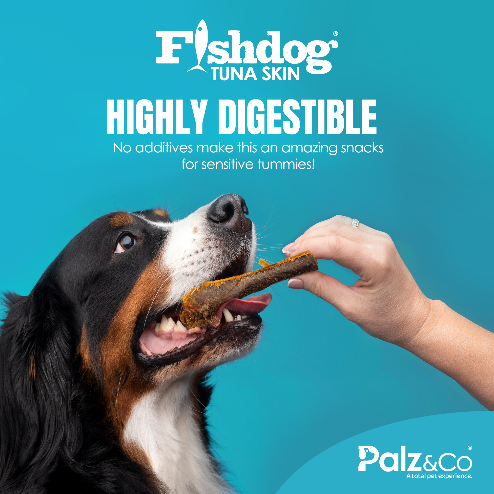 Fishdog Tuna Skin - 2.5 oz (70g)