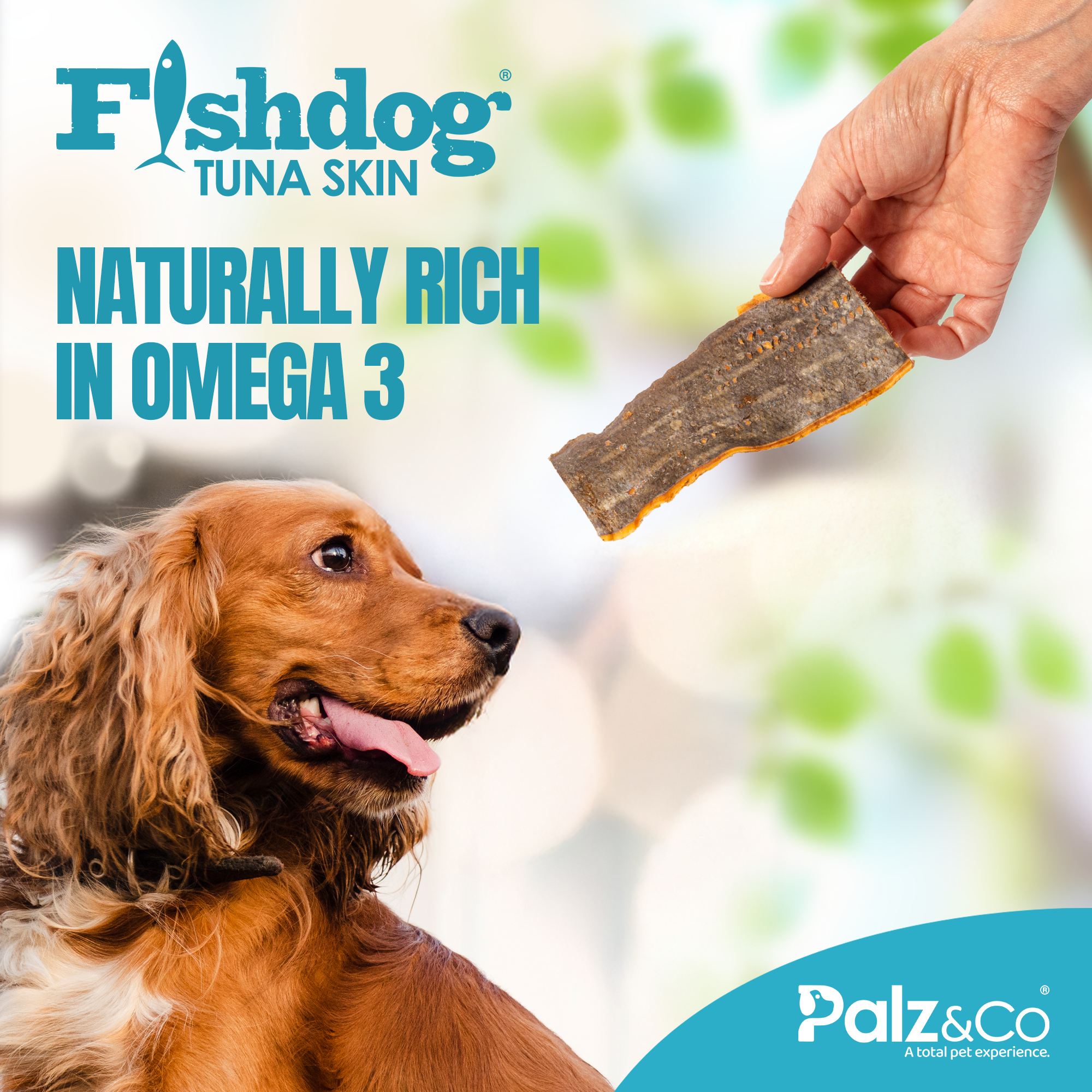 Fishdog Tuna Skin - 2.5 oz (70g)