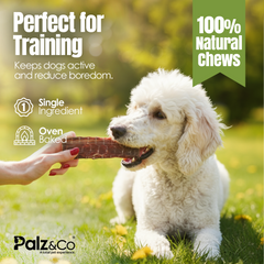 Moodog Beef Trachea Flats 6" – 25 Pack