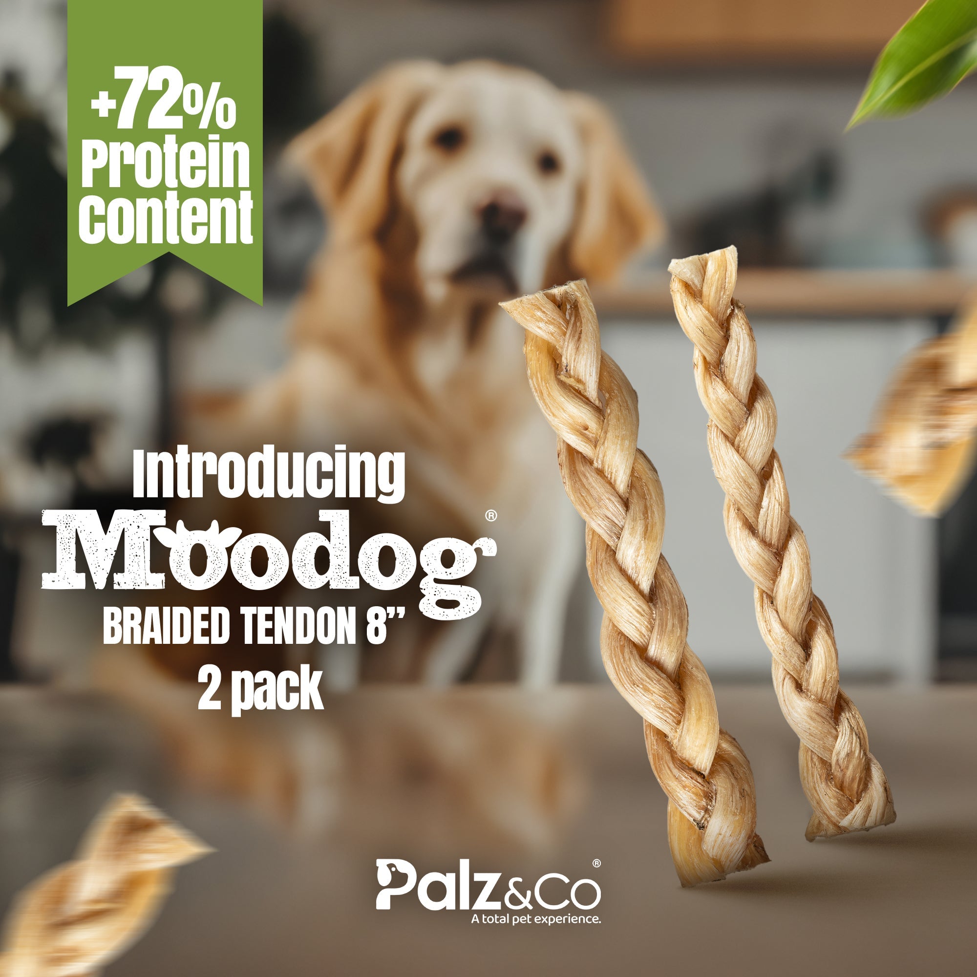 Moodog 8" Braided Beef Tendon - Pack of 2