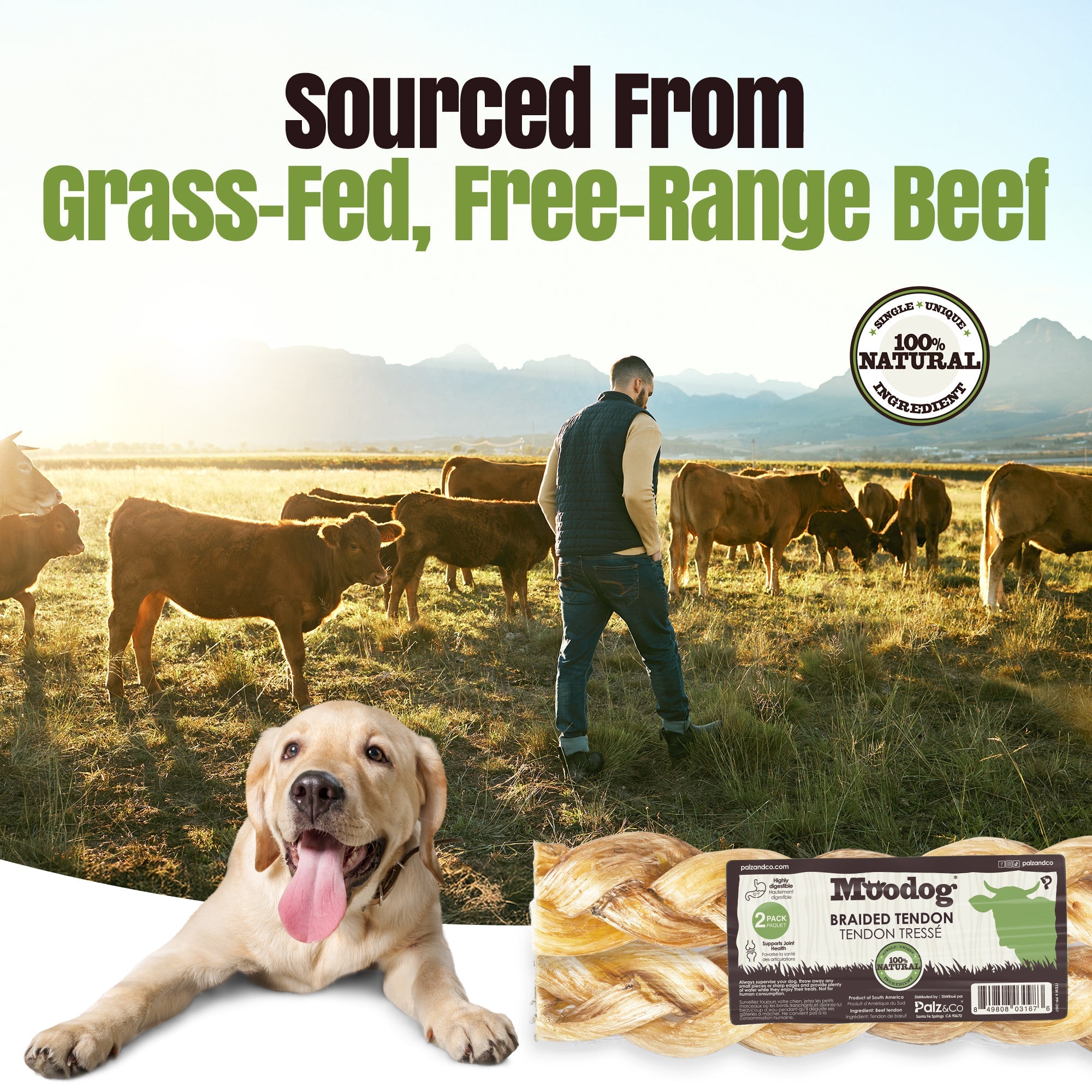 Moodog 8" Braided Beef Tendon - Pack of 2