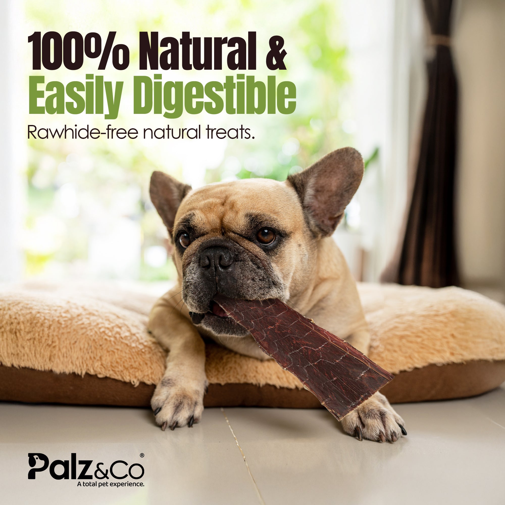 Moodog 8" Flat Beef Gullet - Pack of 5