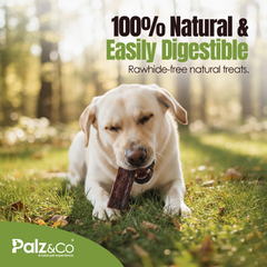 Moodog Beef Trachea Flats 6" – 25 Pack