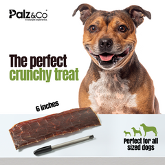 Moodog Beef Trachea Flats 6" – 25 Pack