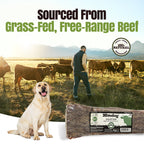 Moodog 8" Flat Beef Gullet - Pack of 5