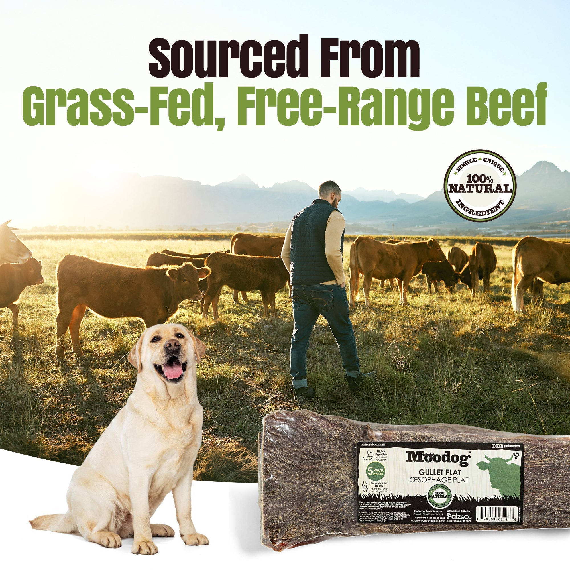 Moodog 8" Flat Beef Gullet - Pack of 5