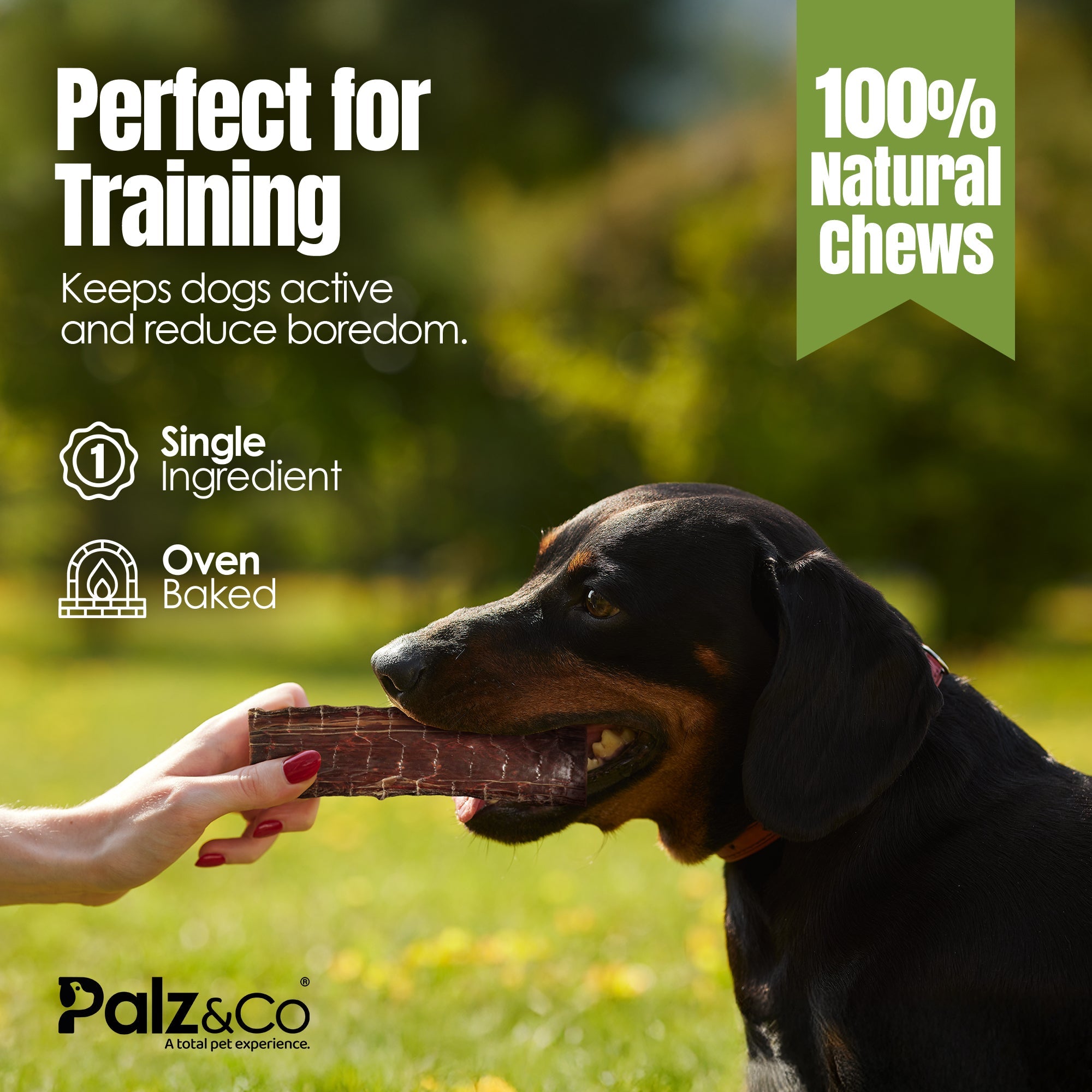 Moodog 8" Flat Beef Gullet - Pack of 5