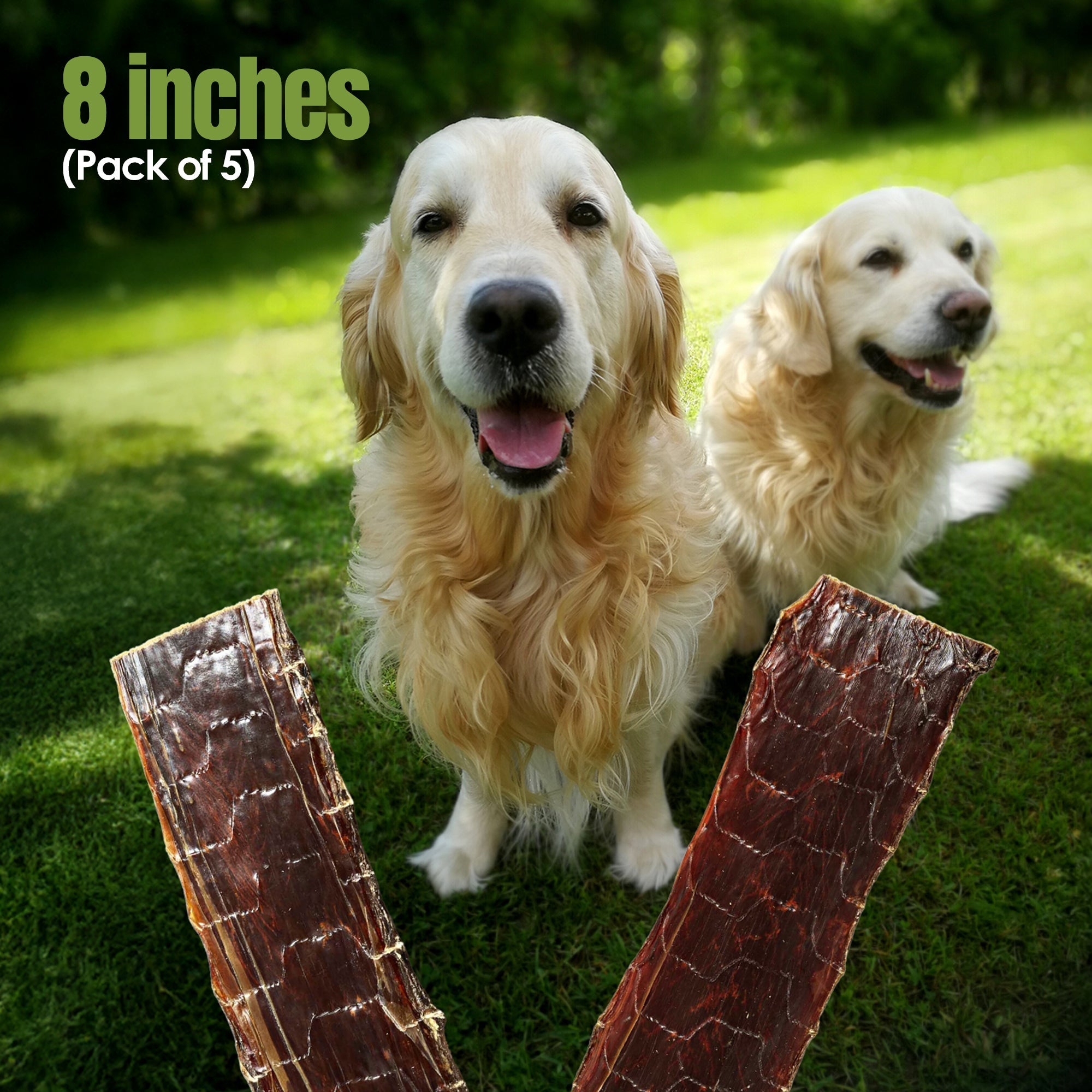 Moodog 8" Flat Beef Gullet - Pack of 5