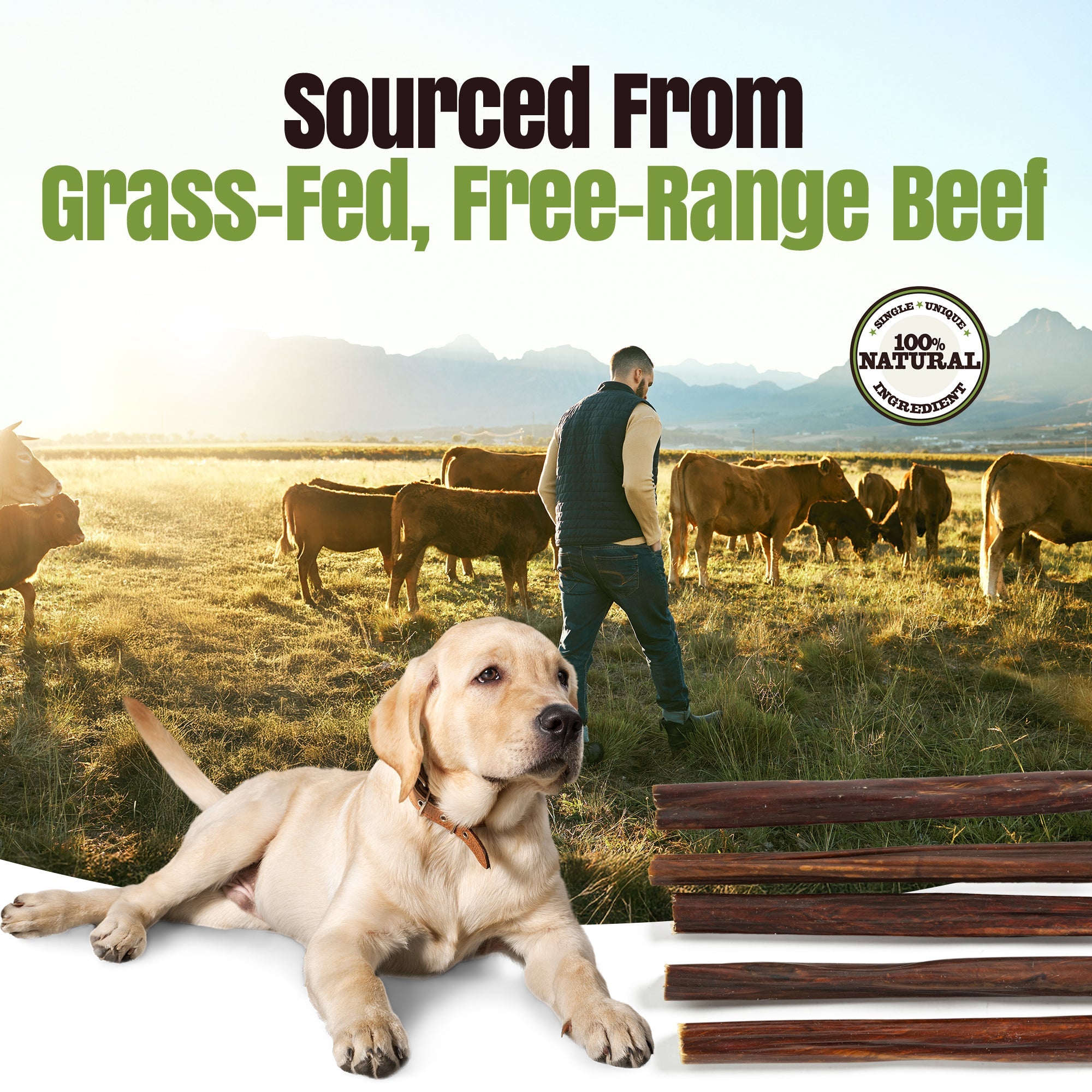 Moodog Beef Gullet Sticks 6-12" - Pack of 25