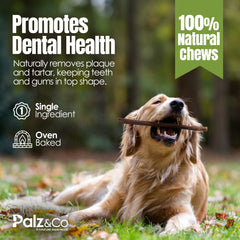 Moodog Beef Gullet Sticks 6-12" - Pack of 25