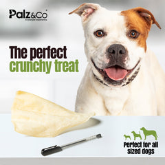 Moodog Beef Jumbo Cow Ears (Pack of 60)
