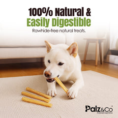 Moodog Beef Medium Tendon Stick - 25 Pack