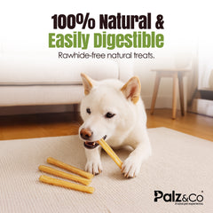 Moodog Beef Medium Tendon Stick - Pack of 25