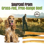 Moodog Beef Medium Tendon Stick - 25 Pack