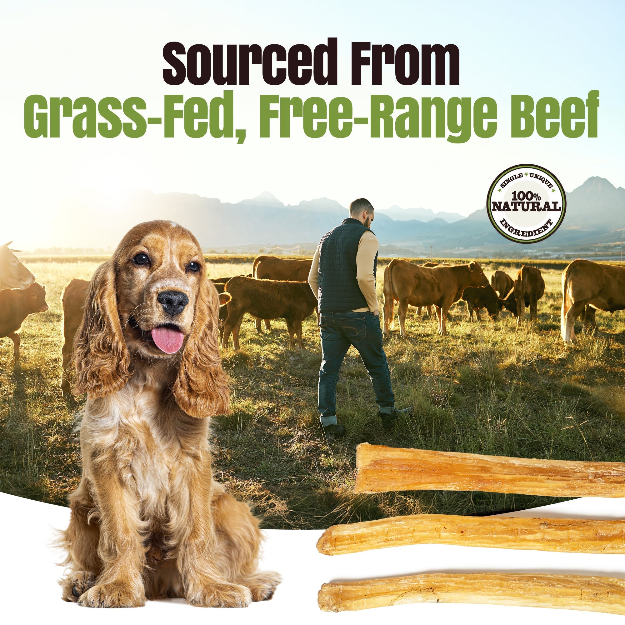 Moodog Beef Medium Tendon Stick - 25 Pack