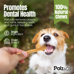 Moodog Beef Medium Tendon Stick - 25 Pack