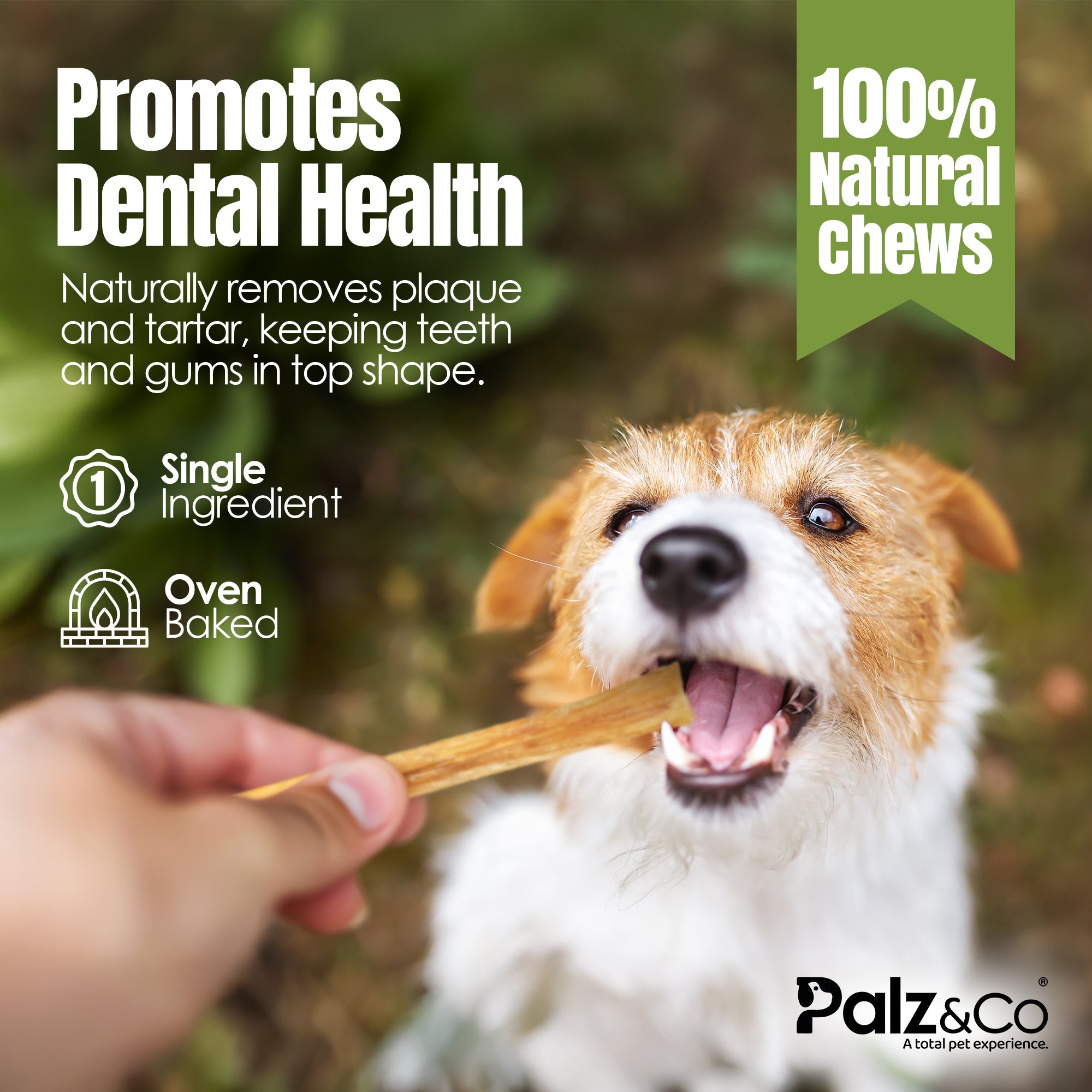 Moodog Beef Medium Tendon Stick - 25 Pack