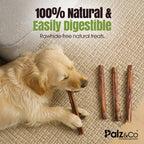 Moodog Beef Monster Bully Sticks 6"-12"- Pack of 25