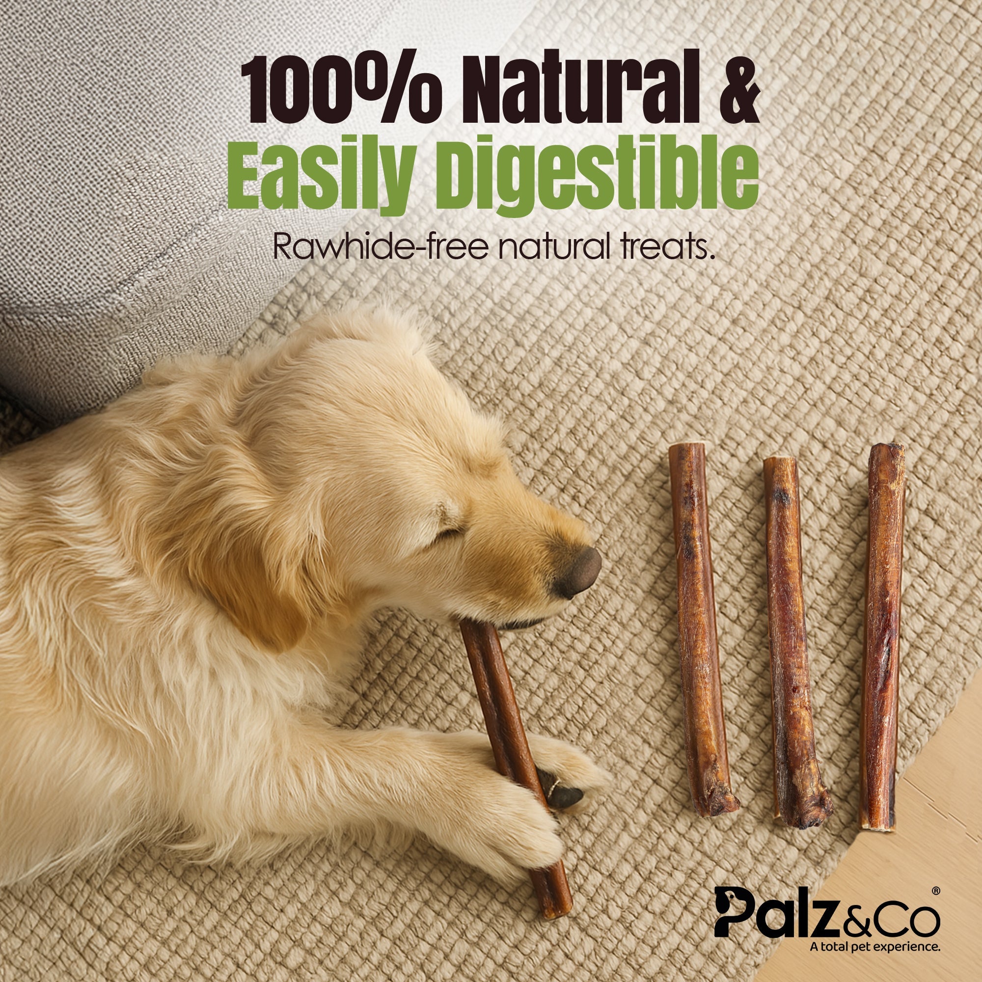 Moodog Beef Monster Bully Sticks 6"-12"- Pack of 25