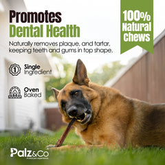 Moodog Beef Monster Bully Sticks 6"-12"- Pack of 25